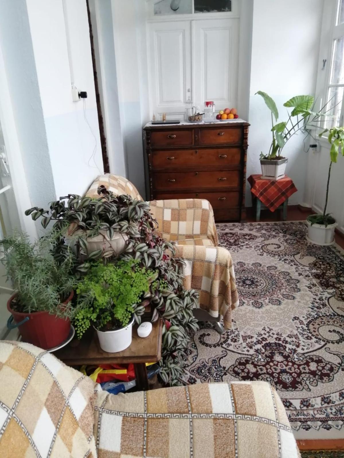 ホテル Ali Ancient House 555 Şǝki エクステリア 写真
